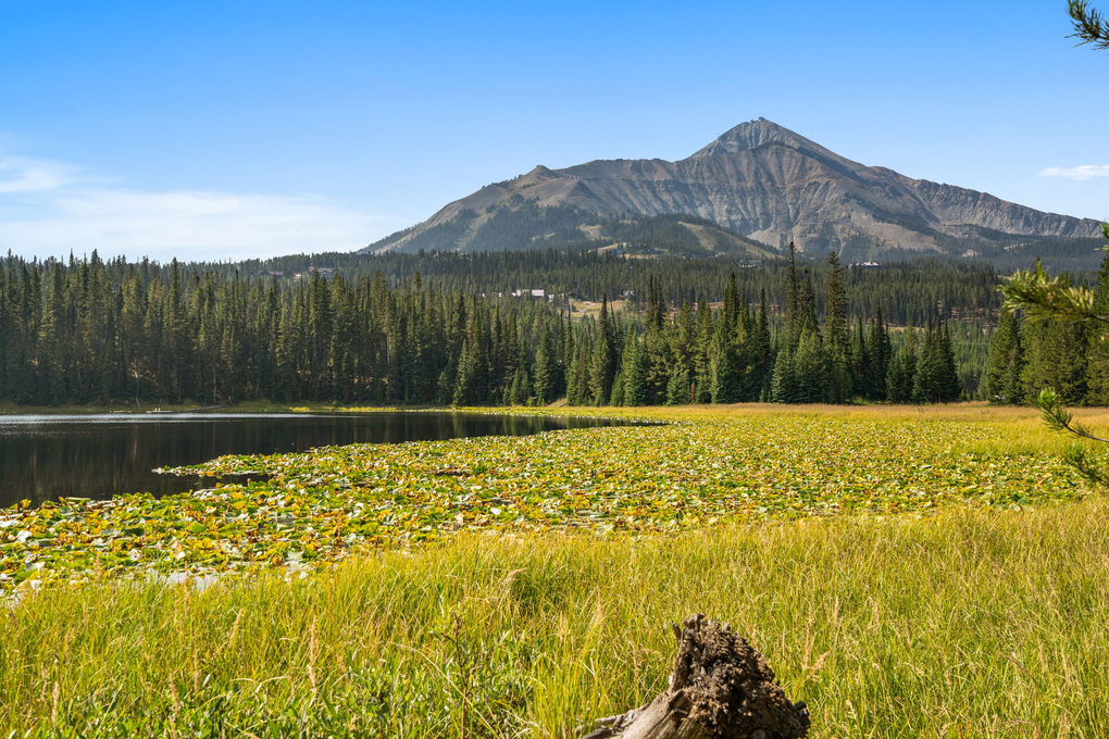 Lake Ulerys, Located Behind Property