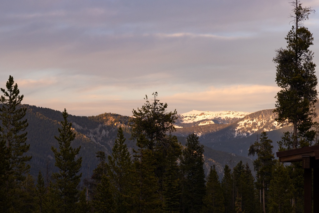 Views from the Property