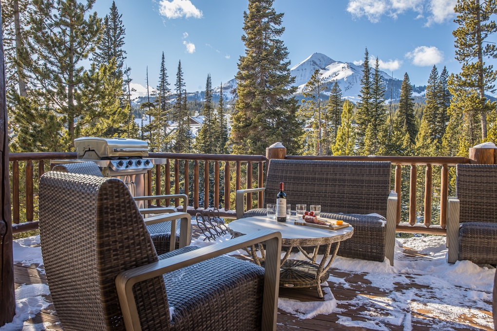 Deck Seating and Grill