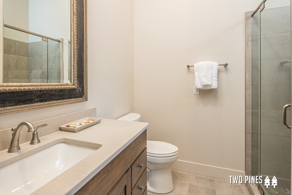 Guest Bathroom with Walk-in Shower