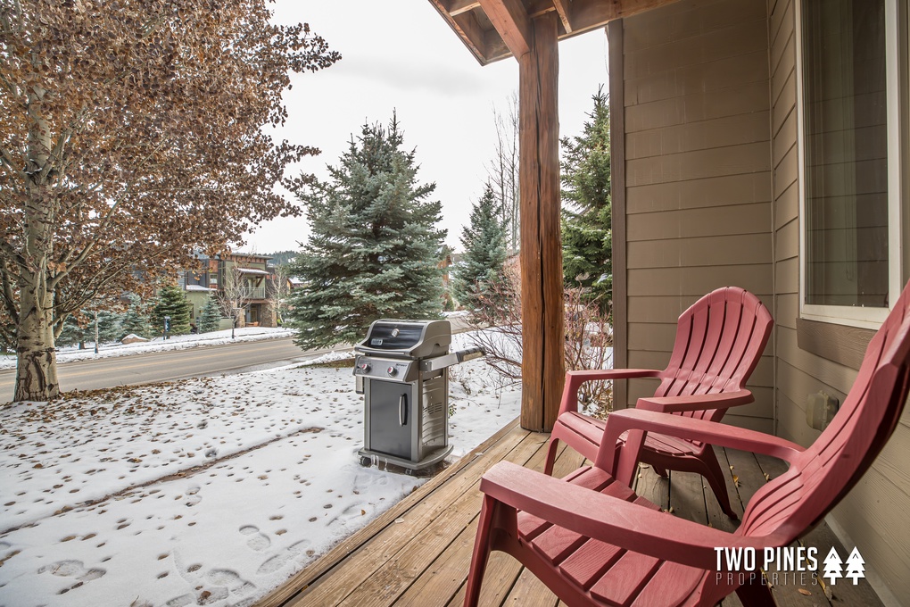 Back Porch with Seating & Gas Grill