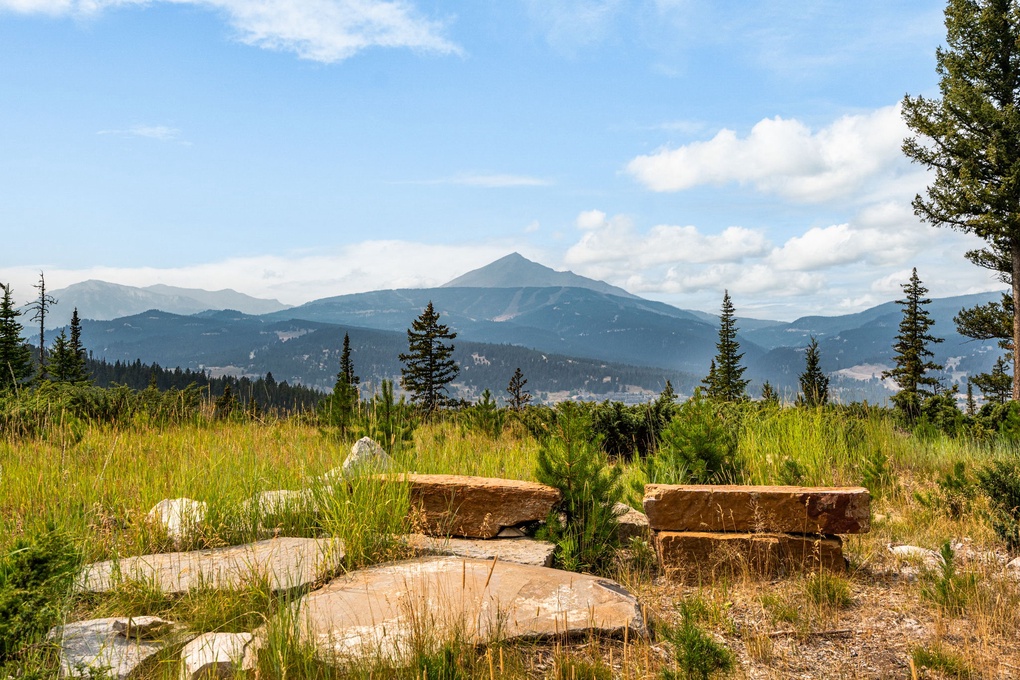 Views Surrounding the Property