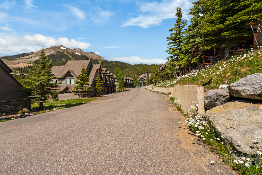 Saddle Ridge Neighborhood