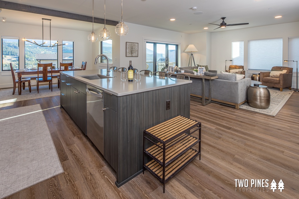 Open Concept Kitchen and Living Area