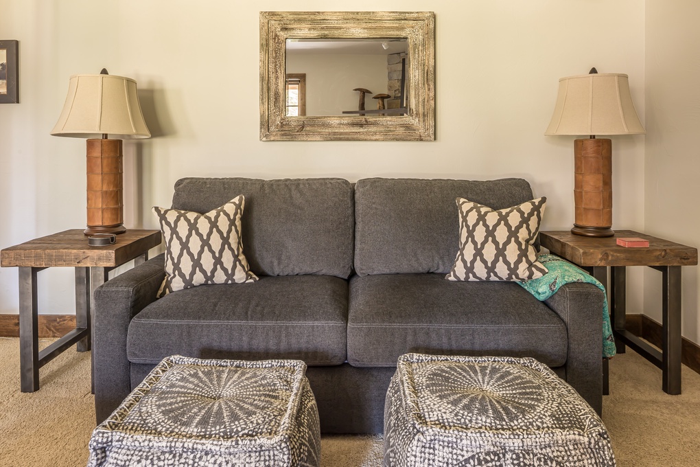 Downstairs Den (pullout sofa)