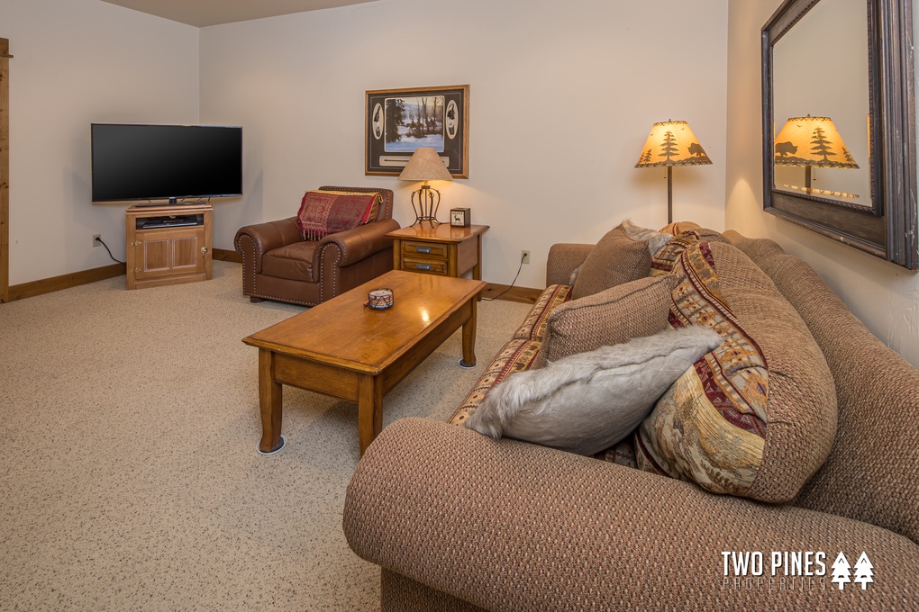 Lower Level Living Area