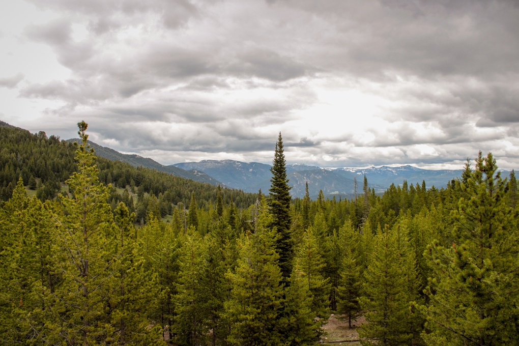 Balcony Mountain Views!