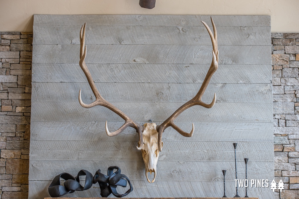 Antlers