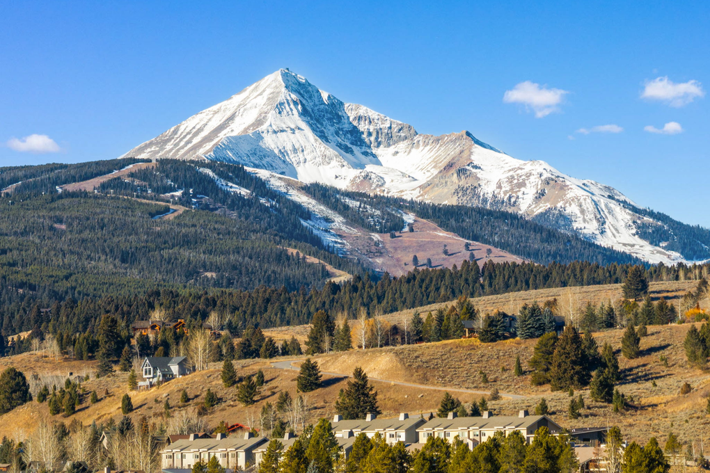 Views from the Property