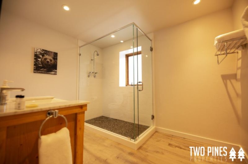 Guest Bathroom with Walk-in Shower