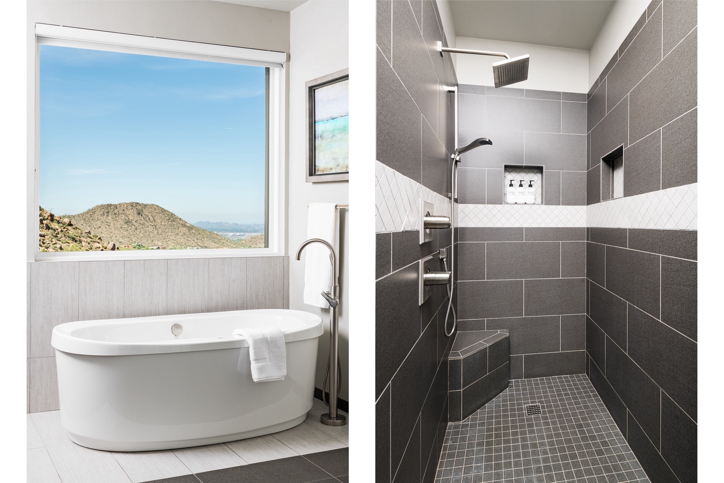 Master bathroom shower & tub