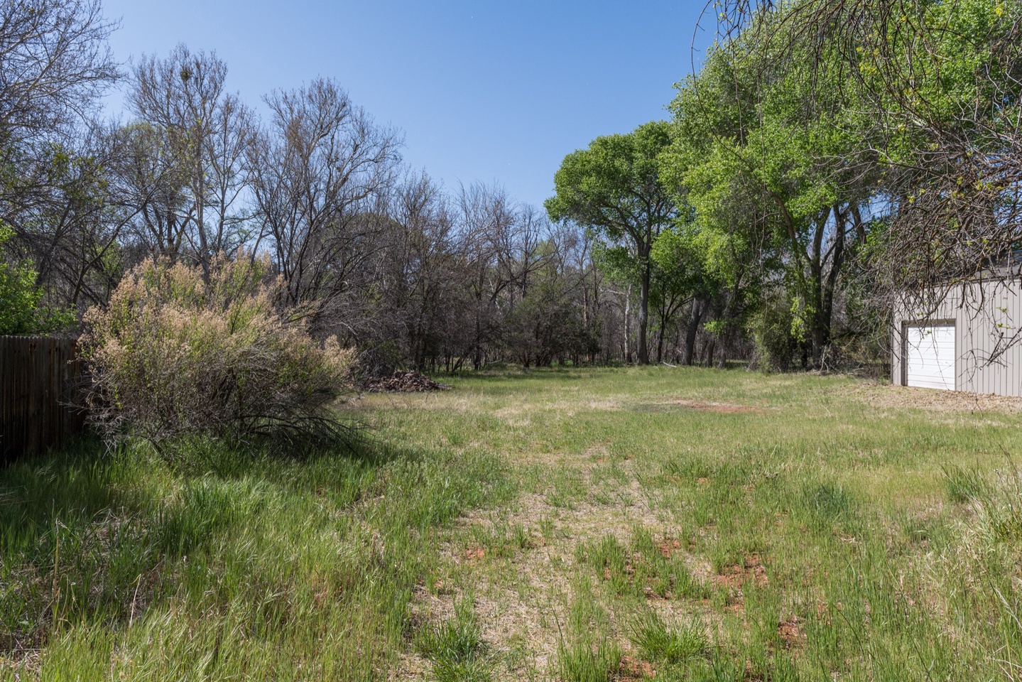 Large open area on the way to the creek