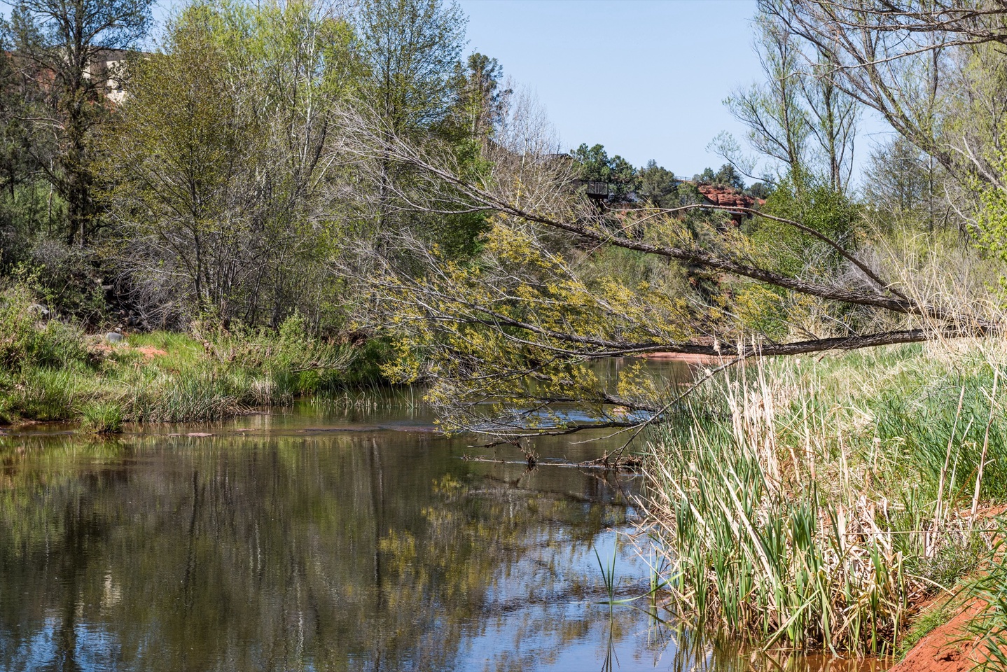 More space on the creek