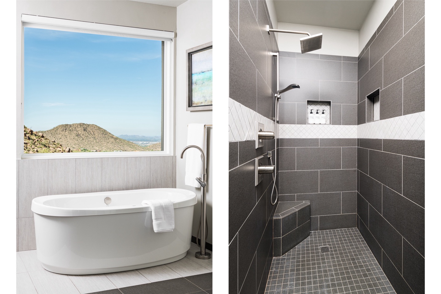 Master bathroom shower & tub